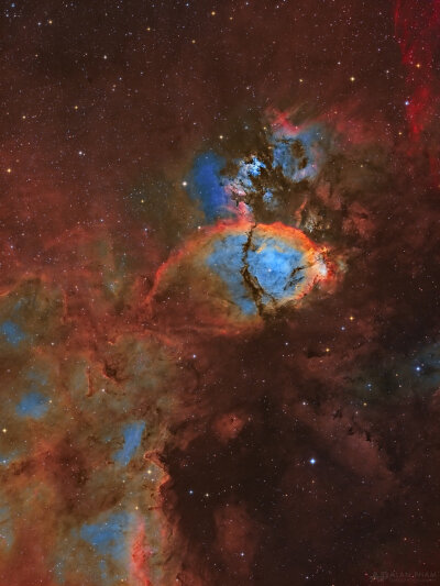 IC 1795——鱼头星云