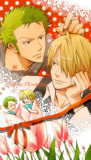 海贼王  壁纸 索香