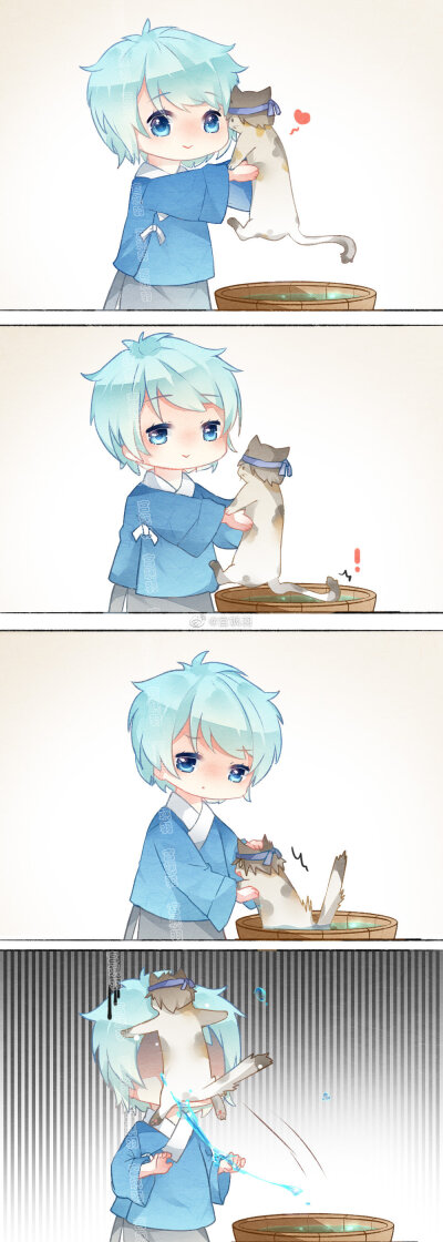 洗猫猫