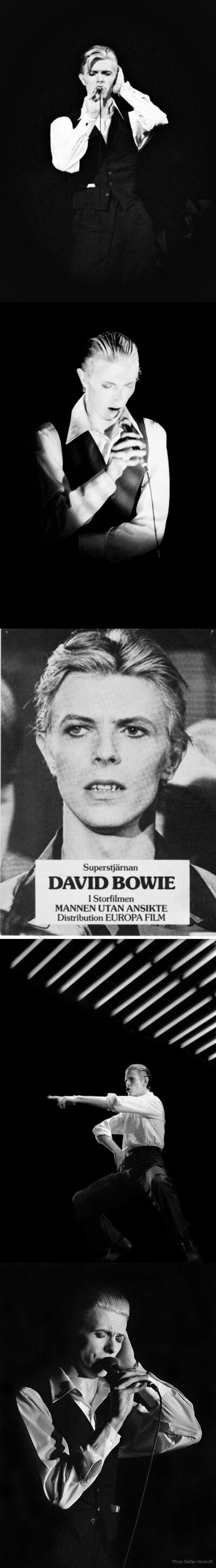 David Bowie