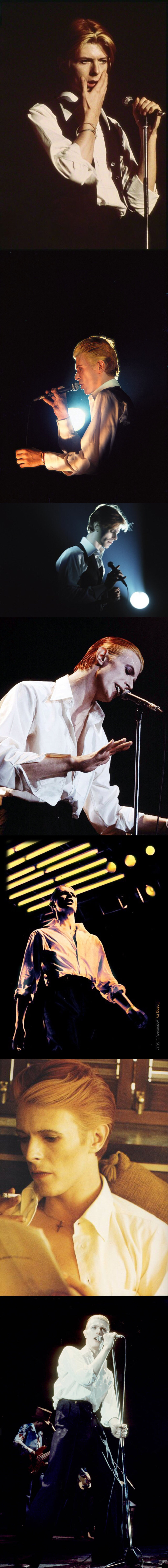 David Bowie