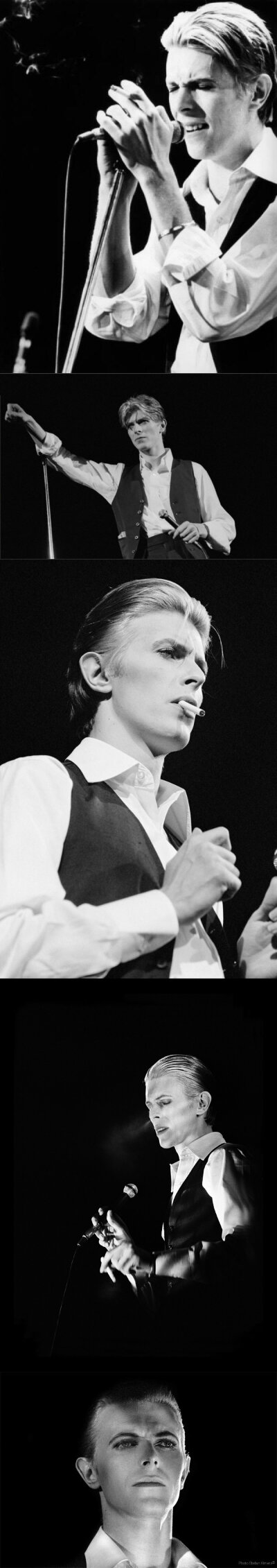 David Bowie