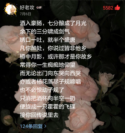 网易云音乐《杨花落尽子规啼》热评