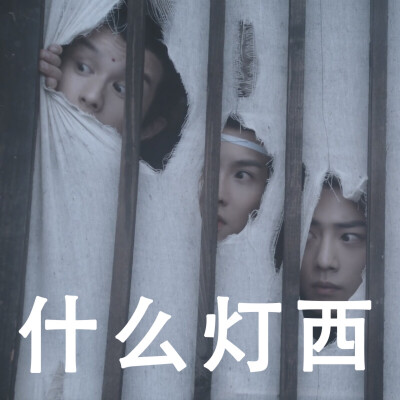 陈情令表情包
