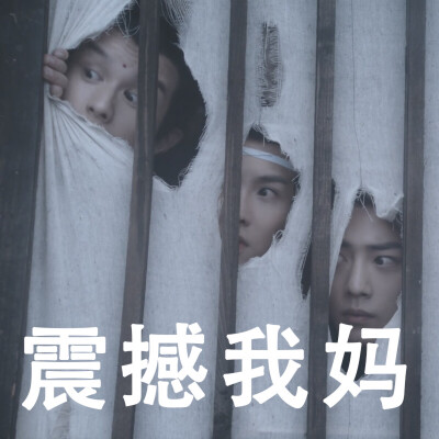 陈情令表情包