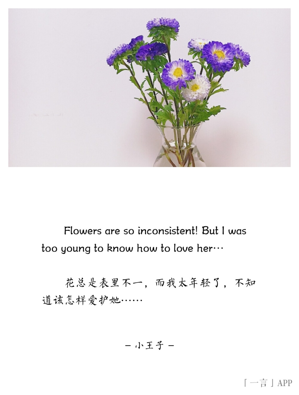 ♚
Flowers are so inconsistent! But I was too young to know how to love her…
花总是表里不一，而我太年轻了，不知道该怎样爱护她……
——小王子