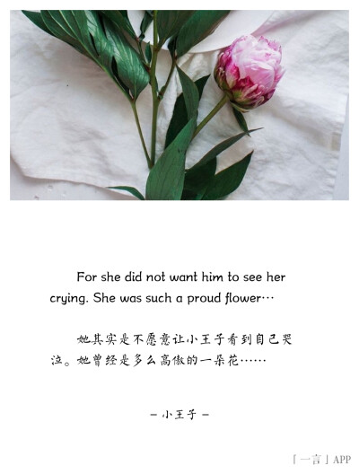 ♚
For she did not want him to see her crying. She was such a proud flower…
她其实是不愿意让小王子看到自己哭泣。她曾经是多么高傲的一朵花……
——小王子
