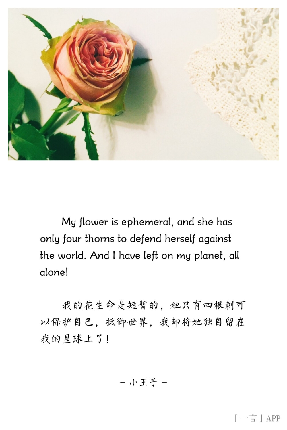 ♚
My flower is ephemeral, and she has only four thorns to defend herself against the world. And I have left on my planet, all alone!
我的花生命是短暂的，她只有四根刺可以保护自己，抵御世界，我却将她独自留在我的星球上了！
——小王子