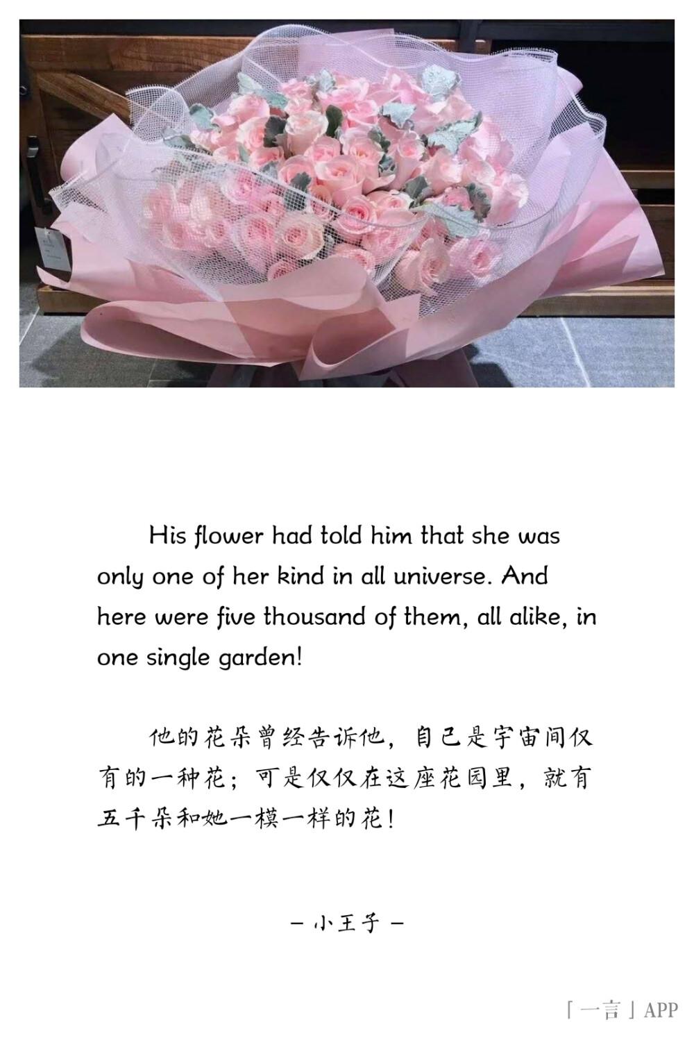 ♚
His flower had told him that she was only one of her kind in all universe. And here were five thousand of them, all alike, in one single garden!
他的花朵曾经告诉他，自己是宇宙间仅有的一种花；可是仅仅在这座花园里，就有五千朵和她一模一样的花！
——小王子