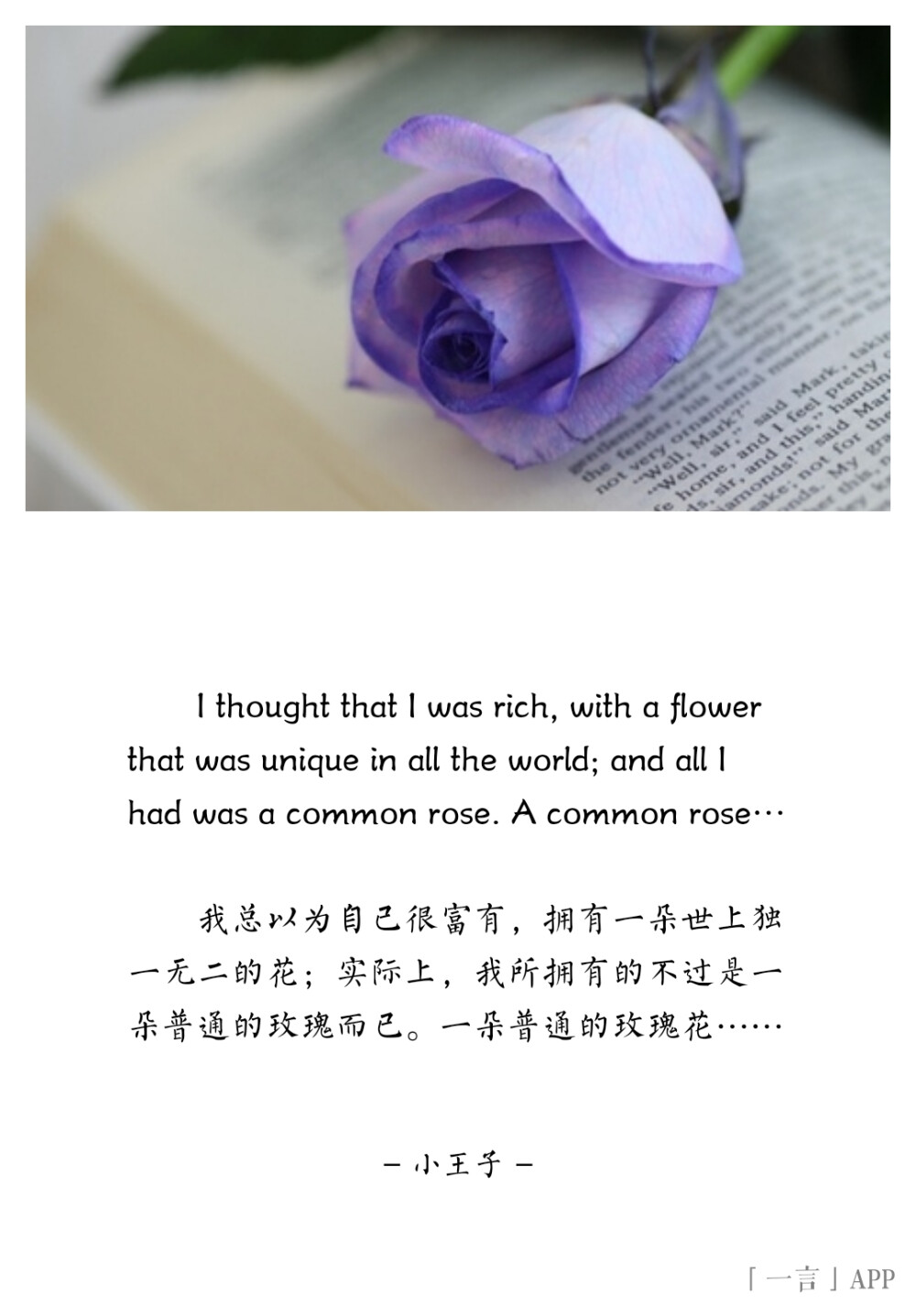 ♚
I thought that I was rich, with a flower that was unique in all the world; and all I had was a common rose. A common rose…
我总以为自己很富有，拥有一朵世上独一无二的花；实际上，我所拥有的不过是一朵普通的玫瑰而已。一朵普通的玫瑰花……
——小王子