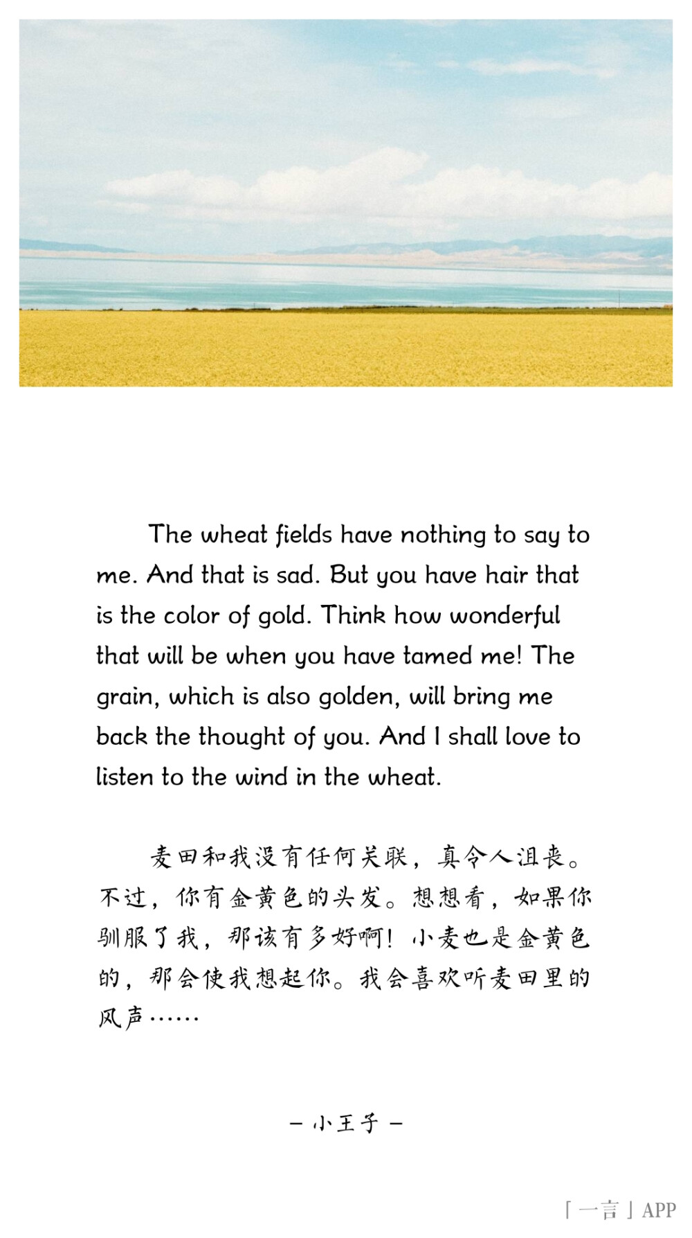 ♚
The wheat fields have nothing to say to me. And that is sad. But you have hair that is the color of gold. Think how wonderful that will be when you have tamed me! The grain, which is also golden, will bring me back the thought of you. And I shall love to listen to the wind in the wheat.
麦田和我没有任何关联，真令人沮丧。不过，你有金黄色的头发。想想看，如果你驯服了我，那该有多好啊！小麦也是金黄色的，那会使我想起你。我会喜欢听麦田里的风声……
——小王子