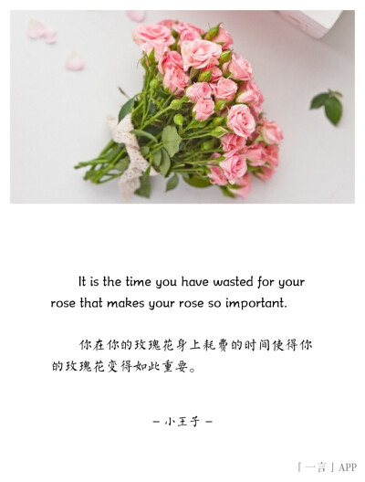 ♚
It is the time you have wasted for your rose that makes your rose so important.
你在你的玫瑰花身上耗费的时间使得你的玫瑰花变得如此重要。
——小王子