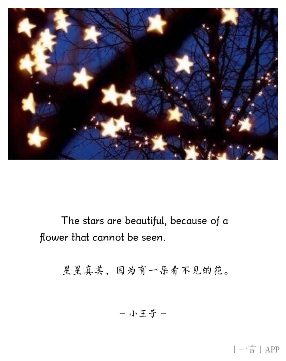 ♚
The stars are beautiful, because of a flower that cannot be seen.
星星真美，因为有一朵看不见的花。
——小王子