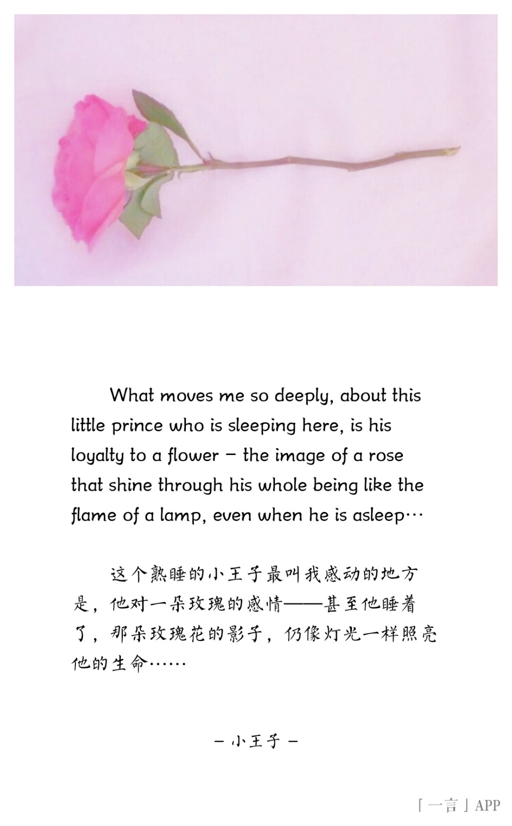 ♚
What moves me so deeply, about this little prince who is sleeping here, is his loyalty to a flower – the image of a rose that shine through his whole being like the flame of a lamp, even when he is asleep…
这个熟睡的小王子最叫我感动的地方是，他对一朵玫瑰的感情——甚至他睡着了，那朵玫瑰花的影子，仍像灯光一样照亮他的生命……
——小王子