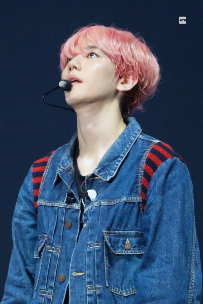 EXO 五巡首尔 边伯贤