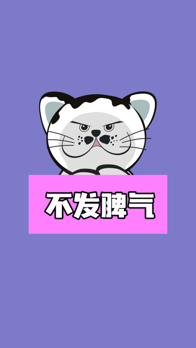 不发脾气猫