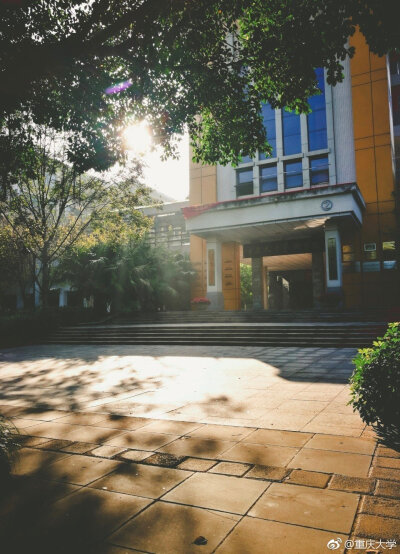 重庆大学