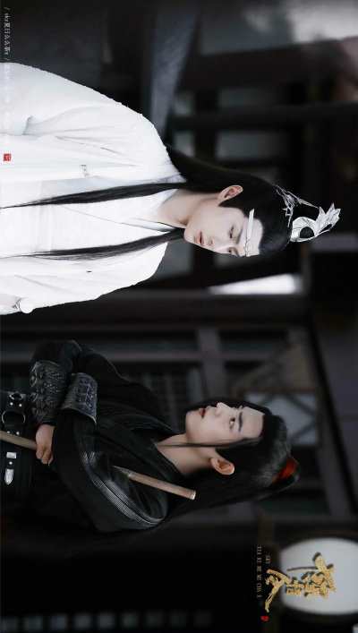 陈情令
蓝忘机
王一博