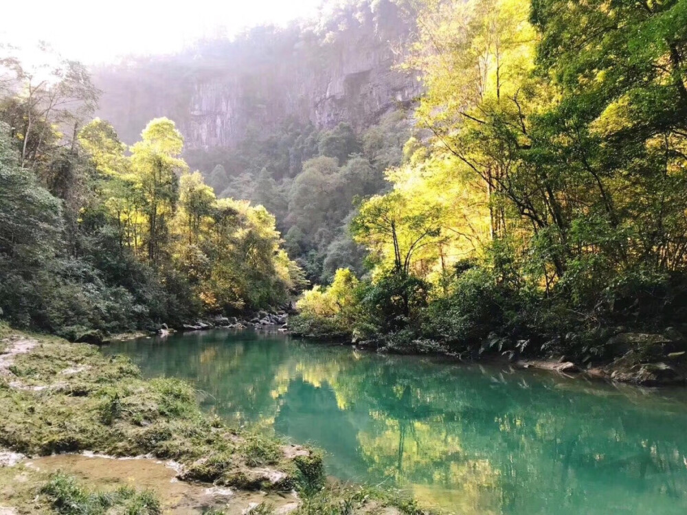 屏山大峡谷位于鹤峰县东去约10公里的屏山村，在其村里有一条两岸环山的峡谷，称之为躲避峡，这里因一张图片而闻名于世界，因鹤峰环境优良，水质没有一点污染，从而形成了这里独特的景观，行船如漂浮于空中极似太空船，从而得名，吸引了全国各地的游客前来一睹其真面目。
距县城车程：20分钟 游玩时间：2.5小时 