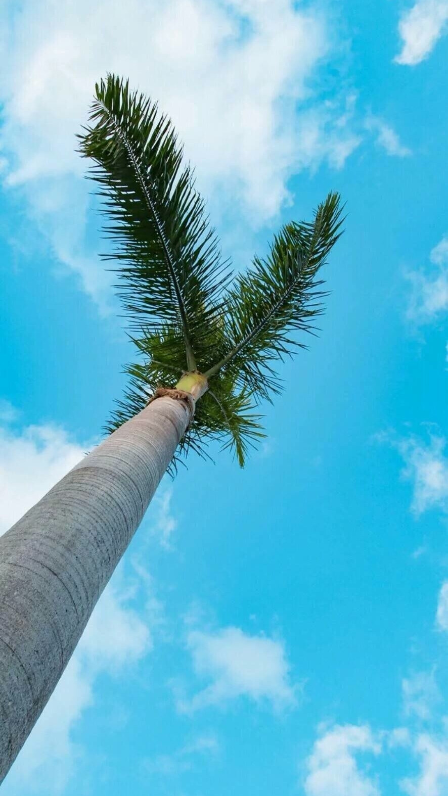 海岛假日