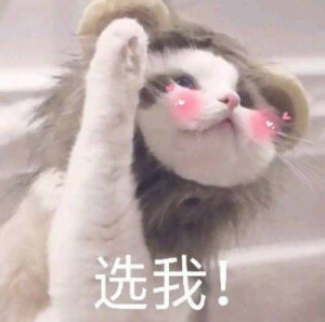 可爱头像