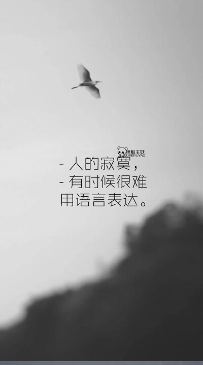 我们可以失望，但不能盲目。