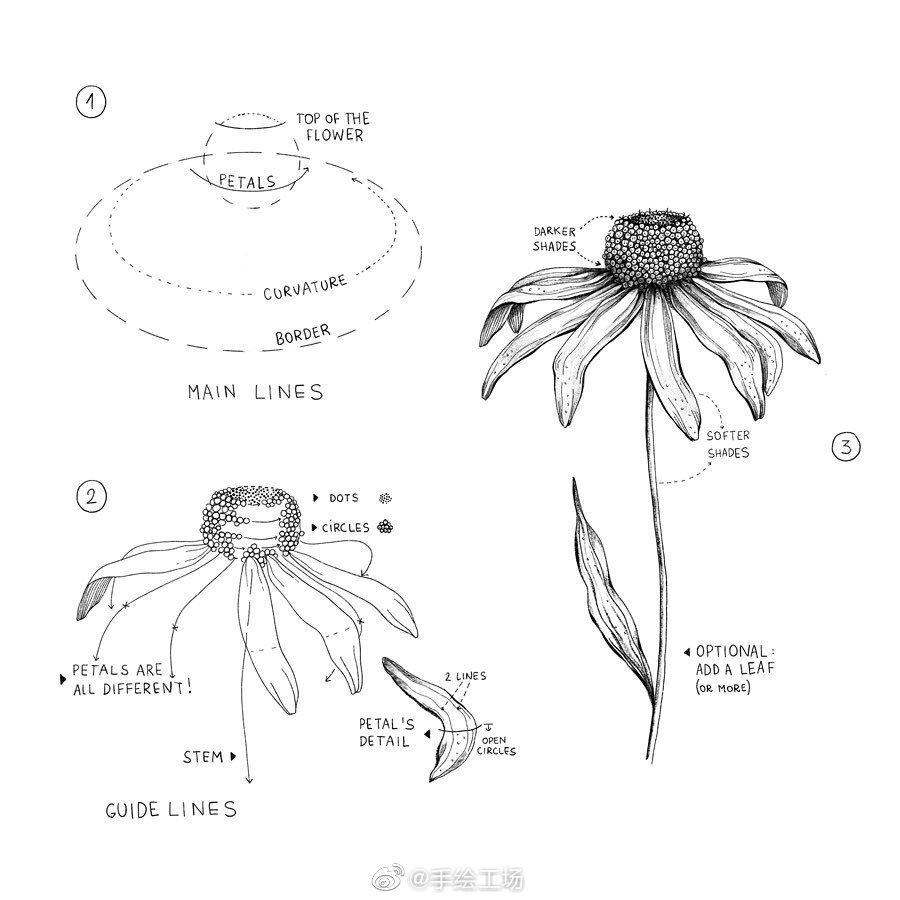 手绘教程 花卉 （来源见水印）