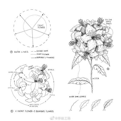 手绘教程 花卉 （来源见水印）