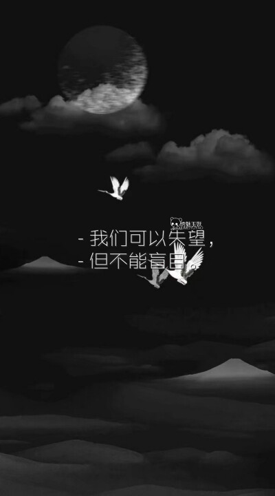 在她的心里潜伏着一个深渊，扔下巨石也发不出声音。#黑白壁纸