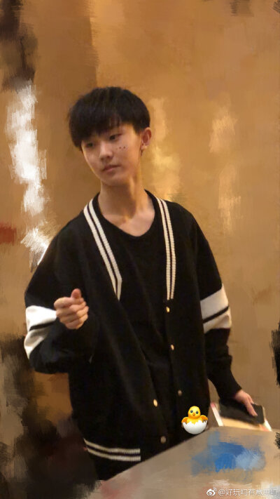 tf家族