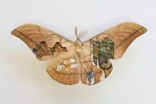 日本艺术家
AKIHIRO HIGUCHI 樋口明宏
在昆虫标本上作画
