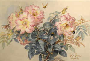 Paul De Longpre

是19世纪法国天才画家

穷极一生用水彩来描绘鲜花

每幅画都生动形象、栩栩如生

可见他的绘画造诣颇深

对花卉绘画起到重要影响