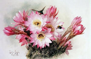 Paul De Longpre

是19世纪法国天才画家

穷极一生用水彩来描绘鲜花

每幅画都生动形象、栩栩如生

可见他的绘画造诣颇深

对花卉绘画起到重要影响