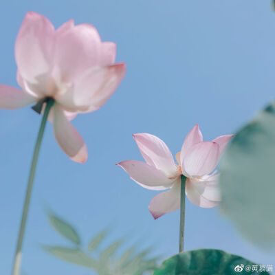 逾期不候
摄影@黄慕潇