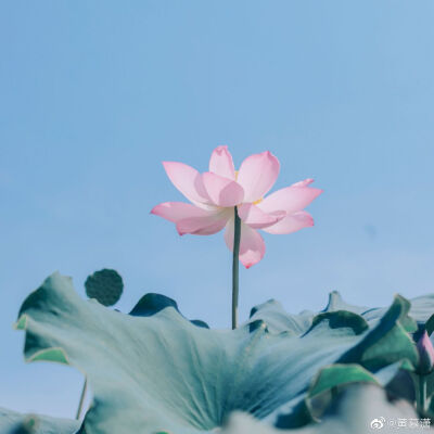 逾期不候
摄影@黄慕潇