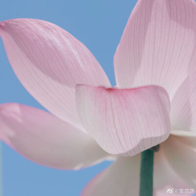 逾期不候
摄影@黄慕潇