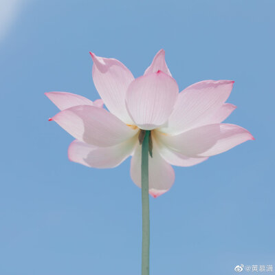 逾期不候
摄影@黄慕潇