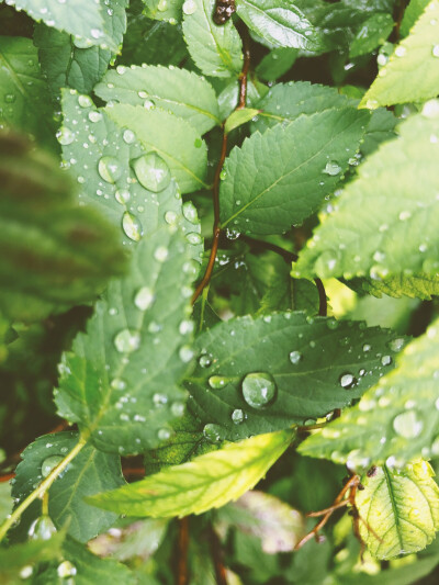 雨后……