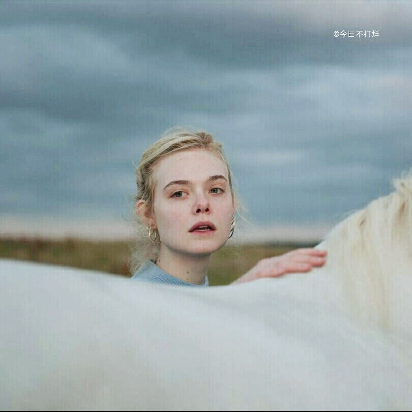 ©今日不打烊 女头
@ElleFanning