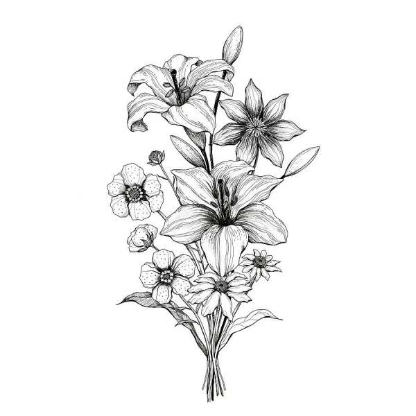 线稿 黑白 手绘 素材 （转发）