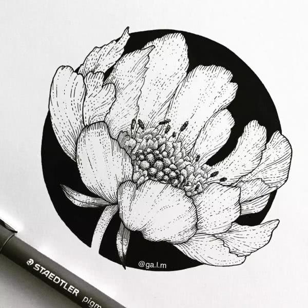 线稿 黑白 手绘 素材 （转发）