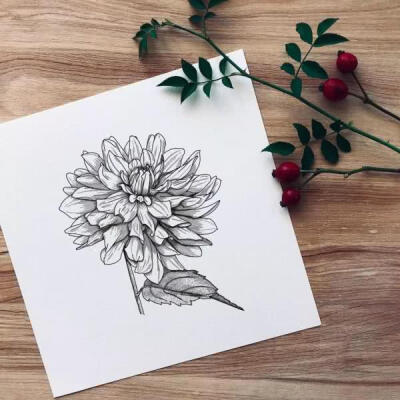 线稿 黑白 手绘 素材 （转发）