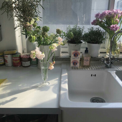 •~ 植物系 ~•