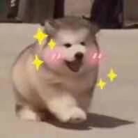 二转注明苏梓七