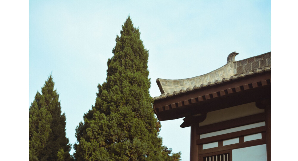 青龙寺，2019