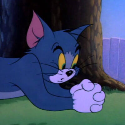 猫和老鼠 情头 自截