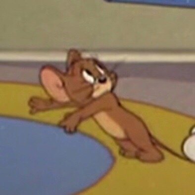 猫和老鼠 情头 自截