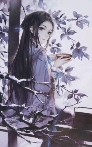 江厌离 师姐 魔道祖师