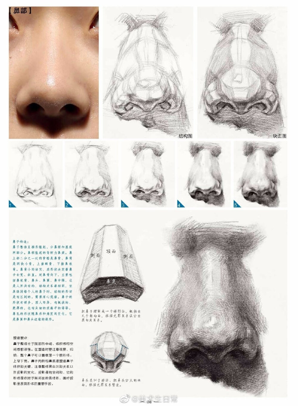 素描五官解析