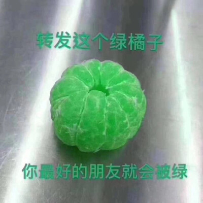 单身狗 绿色 